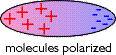 fig.1