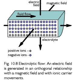 fig.10.8