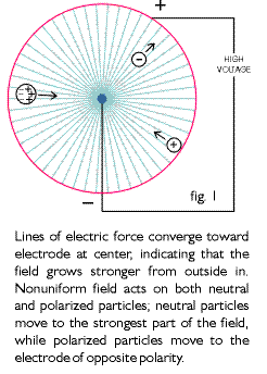 fig.2