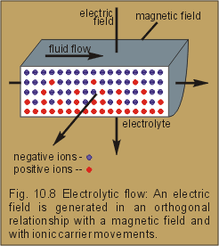 fig.10.8