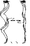  Schauberger generator diagram  