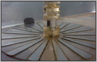  banner logo 