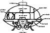 fig.1