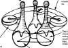 fig.12
